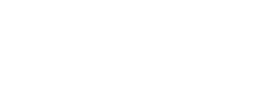Perini Management Services, Inc.